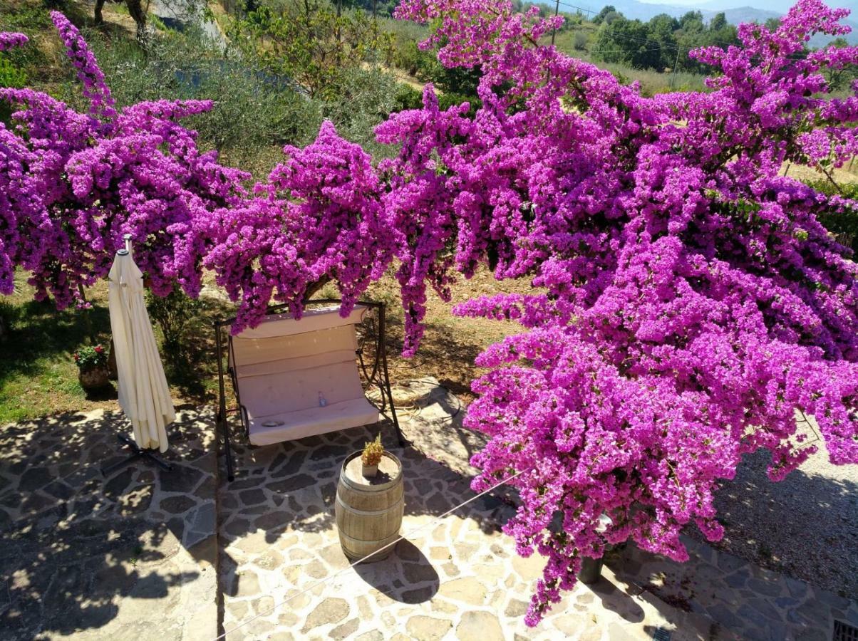 Agriturismo Il Marchese Aquara المظهر الخارجي الصورة