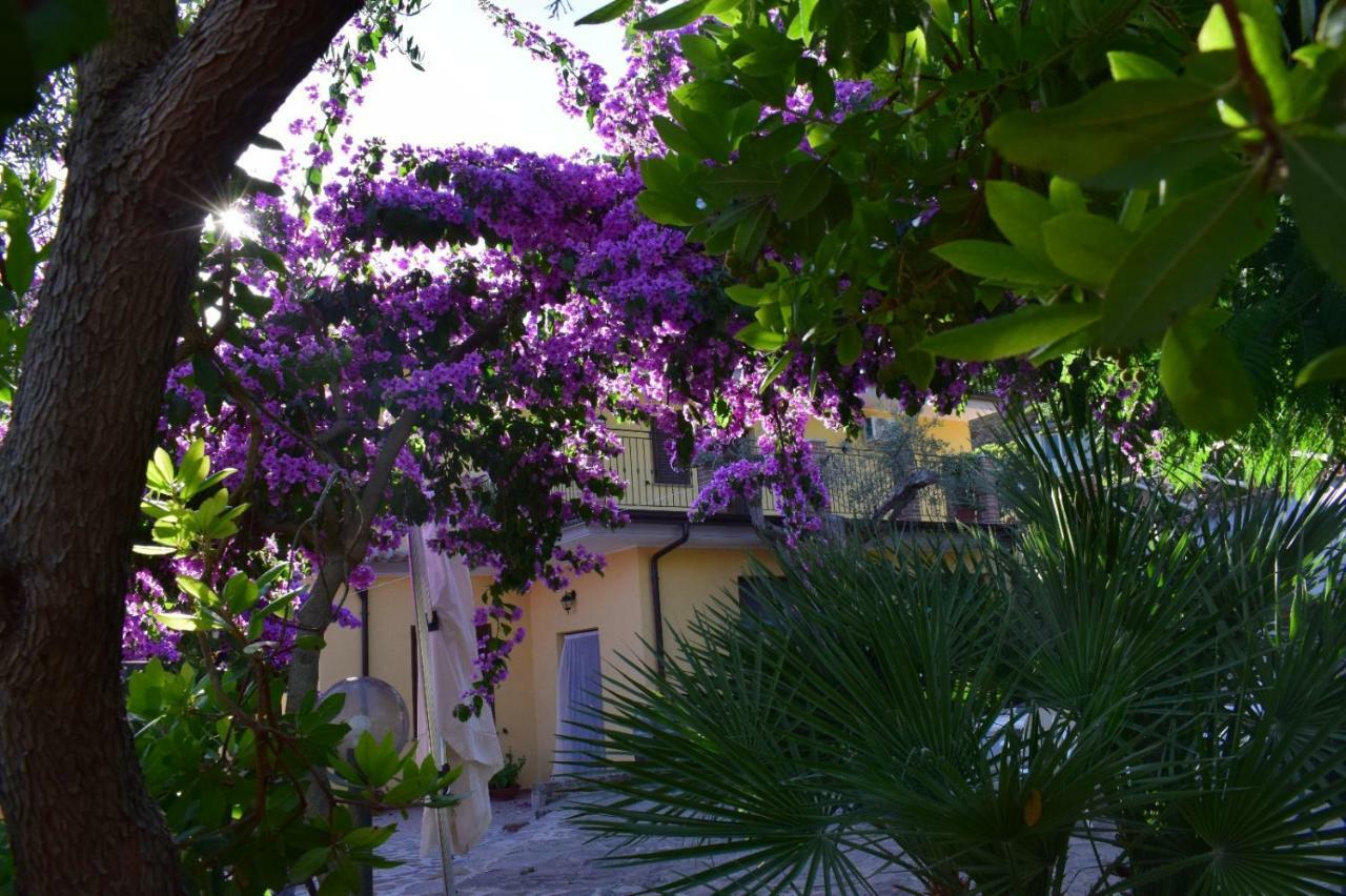 Agriturismo Il Marchese Aquara المظهر الخارجي الصورة